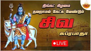 Live 🔴 |  Shiva Devotional Song | சிவன் பக்தி பாடல்கள் | #svdtamilsangamam