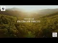 Towards Two Billion Trees | WWF-Australia