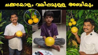 കേരളം കണ്ടതിൽ വച്ച് ഏറ്റവും വലിയ അബിയു 😳 Razeen Exotic  Fruits Garden Malappuram