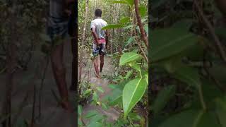 সুন্দরবনের গভীরে বাঘের রাজ্যে আমরা Sundarban Tiger jungle।