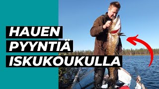 Hauen pyyntiä iskukoukulla