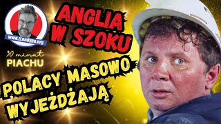 Anglia w szoku. Polacy masowo wyjeżdżają