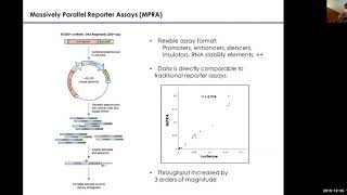 MIT CompBio Lecture 24 - Genome Engineering (Fall 2019)