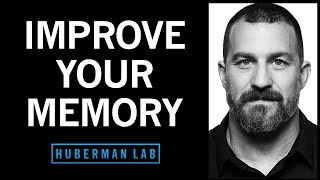Understand & Improve Memory Using Science-Based Tools | Huberman Lab Podcast #72