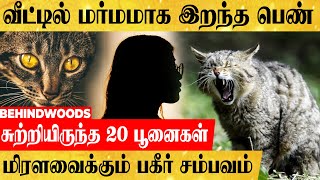 வீட்டுக்குள் 20 பூனைகள்..! மர்மமாக இறந்து கிடந்த பெண்...அதிரவைக்கும் பகீர் பின்னணி