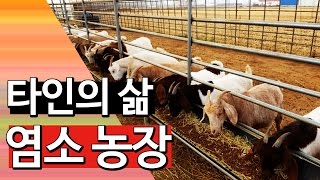 [타인의 삶] \