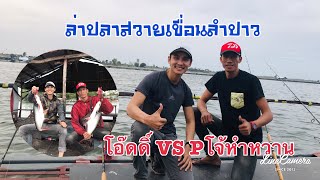 EP:19 ตกปลาแพป๋าทรงเขื่อนลำปาว (ตอนพิเศษ) โอ๊ดดิ์ vs Pโจ้หำหวาน