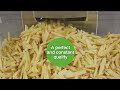 Robot-Coupe  THE solution for French fries