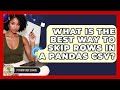 What Is The Best Way To Skip Rows In A Pandas CSV? - Python Code School