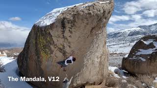 Bishop「The Mandala」V12