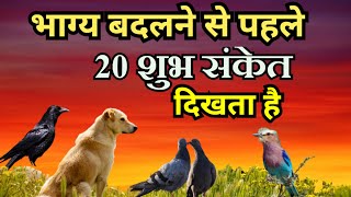 अच्छे वक्त आने से पहले मिलते हैं 20 शुभ संकेत , 20 auspicious signs before good times come,