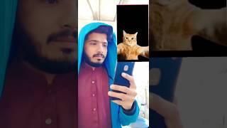 Cat selfie🐈#tutorial #tiktok