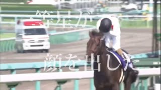 [競馬MAD]ウマ娘から競馬を知った自分が選んだ名レース.  AliA「かくれんぼ」