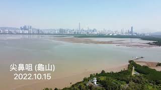 尖鼻咀 (龜山) 2022.10.15 (Tsim Bei Tsui - Kwai Shan) [一分鐘航拍] #后海灣 #拉姆薩爾濕地