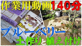 【作業用動画】ブルーベリーの土作りと植え付け方【140分】How to make and plant blueberry soil.