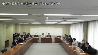 子育て・若者支援特別委員会：令和2年12月9日