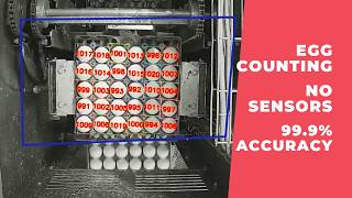Egg Counter on Packaging Line — Works with Any Camera, Even Black & White