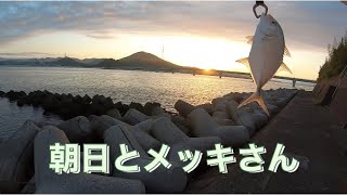 【河口】付近に釣りに行ったら、メッキさんと出会えたわ