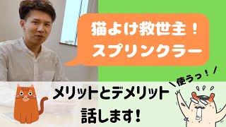 【救世主】猫よけスプリンクラーってどう？メリットとデメリットを設置経験から解説