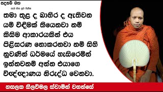 ධර්මයේ හැසිරෙමින් ඉන්නවනම් අන්න එයාගෙ විඤ්ඤාණය නිරුද්ධ වෙනවා..361Ven Hasalaka Seelawimala Thero