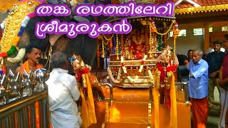 Paloor | sree subramanyan kovil thaipooya maholsavam |