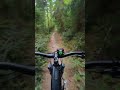 MTB Beskid Śląski Skrzyczne uphill czerwony szlak