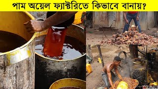 কিভাবে পাম অয়েল বানানো হয়? | Palm oil Factory Making Process | 10Solutions