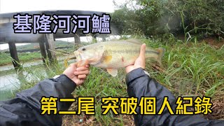 第二尾基隆河河鱸，到點就中魚！還破紀錄了