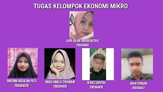 TUGAS KELOMPOK EKONOMI MIKRO \