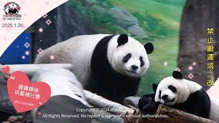 20250126 圓寶點心課後玩藍桶行豐，吸引人可愛的小尾巴 The Giant Panda Yuan Bao