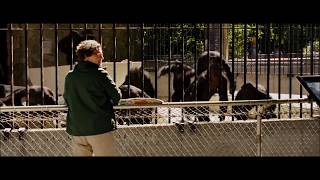 Rise Of The Planet Of The Apes - Don't Ever Let Them Get You