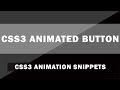 CSS3 Animated Button  Tutorial - 3 | CSS3 Animation Snippets