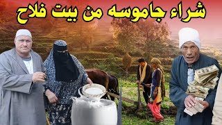 شرا جاموسه والده من زريبة فلاح مع الحج سلامه بركه