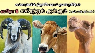 ஸூரத்துல் அன்ஆம்-Tamil Al Quran Surah Al-An'am | Tamil quran