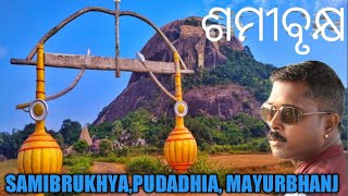 ଶମୀବୃକ୍ଷ/SAMIBRUKHYA /UDALA (PUDADHIA)  MAYURBHANJ.EPISODE-(79)#vloging #hills