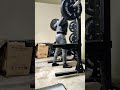 320 lbs. squat