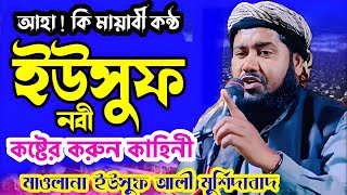 ইয়াকুব ও ইউসুফ নবীর করুন কাহিনী | মাওলানা ইউসুফ আলী সাহেবের ওয়াজ | Maulana Yusuf Ali Jalsa | Yusuf