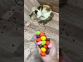 cat vasj plastic beads reverse reversevideo funny asmr