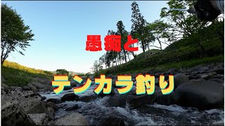 愚痴とテンカラ釣り (一色川）「庄川水系」