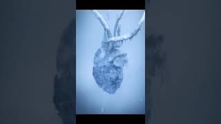 Frozen Heart Sound How to Heart Beats | #Tafseer_Arshad_Intellectual_Videos