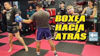 BOXEO: 4 consejos para boxear hacia detrás!