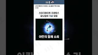 스타크래프트 프로토스 유닛들의 TMI 모음