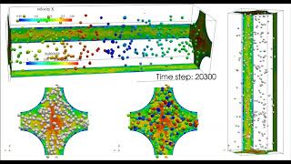 The science of bubbles