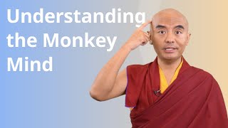 Understanding the Monkey Mind with Yongey Mingyur Rinpoche