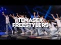 Temasek Freestylers (1st Place) | Super24 2016 Secondary School Category Finals