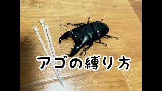 ハンドペアリングの時の顎の縛り方