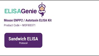 Mouse ENPP2 / Autotaxin ELISA Kit (SKU: MOFI00371) - ELISA Genie