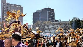 令和六年 狛江市民まつり 神輿連合渡御