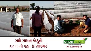 GROW COVER in CHILL ગ્રોવ કવર નું મરચી ના પાક માં અદ્ભુત પરિણામ मिर्ची में ग्रो कवर का सम्पूर्ण