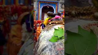 Kedarnath Temple Whatsap status song #kedarnath #viral #shortvideos #shorts #mahadev